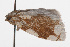  ( - 09BBLEP-04424)  @12 [ ] CreativeCommons - Attribution (2009) Unspecified Centre for Biodiversity Genomics