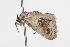  ( - 09BBLEP-04429)  @12 [ ] CreativeCommons - Attribution (2009) Unspecified Centre for Biodiversity Genomics