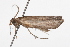  ( - 09BBLEP-04430)  @12 [ ] CreativeCommons - Attribution (2009) Unspecified Centre for Biodiversity Genomics