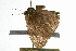  ( - 09BBLEP-04441)  @12 [ ] CreativeCommons - Attribution (2009) Unspecified Centre for Biodiversity Genomics