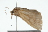  ( - 09BBLEP-04464)  @12 [ ] CreativeCommons - Attribution (2009) Unspecified Centre for Biodiversity Genomics