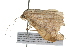  ( - 09BBLEP-04479)  @12 [ ] CreativeCommons - Attribution (2009) Unspecified Centre for Biodiversity Genomics