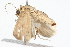  ( - 09BBLEP-01226)  @12 [ ] CreativeCommons - Attribution (2009) Unspecified Centre for Biodiversity Genomics