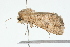  ( - 09BBLEP-01249)  @12 [ ] CreativeCommons - Attribution (2009) Unspecified Centre for Biodiversity Genomics