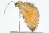  ( - 09BBLEP-01288)  @12 [ ] CreativeCommons - Attribution (2009) Unspecified Centre for Biodiversity Genomics