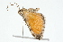  ( - 09BBLEP-01289)  @12 [ ] CreativeCommons - Attribution (2009) Unspecified Centre for Biodiversity Genomics