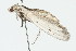  ( - 09BBLEP-01302)  @13 [ ] CreativeCommons - Attribution (2009) Unspecified Centre for Biodiversity Genomics
