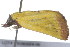  ( - 09BBLEP-01066)  @12 [ ] CreativeCommons - Attribution (2009) Unspecified Centre for Biodiversity Genomics