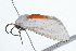  ( - 09BBLEP-01631)  @14 [ ] CreativeCommons - Attribution (2009) Unspecified Centre for Biodiversity Genomics