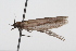  ( - 09BBLEP-00943)  @13 [ ] CreativeCommons - Attribution (2009) Unspecified Centre for Biodiversity Genomics