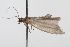  ( - 09BBLEP-00944)  @13 [ ] CreativeCommons - Attribution (2009) Unspecified Centre for Biodiversity Genomics