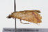  ( - 09BBLEP-00969)  @13 [ ] CreativeCommons - Attribution (2009) Unspecified Centre for Biodiversity Genomics
