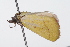  ( - 09BBLEP-00970)  @12 [ ] CreativeCommons - Attribution (2009) Unspecified Centre for Biodiversity Genomics