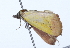  ( - 09BBLEP-00971)  @12 [ ] CreativeCommons - Attribution (2009) Unspecified Centre for Biodiversity Genomics