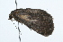  ( - 09BBLEP-01003)  @13 [ ] CreativeCommons - Attribution (2009) Unspecified Centre for Biodiversity Genomics