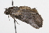  ( - 09BBLEP-01009)  @13 [ ] CreativeCommons - Attribution (2009) Unspecified Centre for Biodiversity Genomics