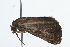  ( - 09BBLEP-01012)  @12 [ ] CreativeCommons - Attribution (2009) Unspecified Centre for Biodiversity Genomics