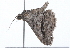  ( - 09BBLEP-01689)  @12 [ ] CreativeCommons - Attribution (2009) Unspecified Centre for Biodiversity Genomics