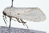  ( - 09BBLEP-01692)  @13 [ ] CreativeCommons - Attribution (2009) Unspecified Centre for Biodiversity Genomics