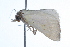  ( - 09BBLEP-01893)  @12 [ ] CreativeCommons - Attribution (2009) Unspecified Centre for Biodiversity Genomics
