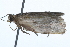  ( - 09BBLEP-01523)  @12 [ ] CreativeCommons - Attribution (2009) Unspecified Centre for Biodiversity Genomics