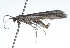 ( - 09BBLEP-01316)  @12 [ ] CreativeCommons - Attribution (2009) Unspecified Centre for Biodiversity Genomics