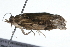  ( - 09BBLEP-01388)  @12 [ ] CreativeCommons - Attribution (2009) Unspecified Centre for Biodiversity Genomics
