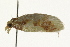  ( - 09BBLEP-02369)  @12 [ ] CreativeCommons - Attribution (2009) Unspecified Centre for Biodiversity Genomics
