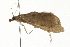  ( - 09BBLEP-02372)  @13 [ ] CreativeCommons - Attribution (2009) Unspecified Centre for Biodiversity Genomics