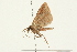  ( - 09BBLEP-02418)  @12 [ ] CreativeCommons - Attribution (2009) Unspecified Centre for Biodiversity Genomics