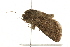  ( - 09BBLEP-02534)  @13 [ ] CreativeCommons - Attribution (2009) Unspecified Centre for Biodiversity Genomics