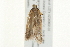  ( - 09BBLEP-02566)  @12 [ ] CreativeCommons - Attribution (2009) Unspecified Centre for Biodiversity Genomics