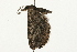  ( - 09BBLEP-02569)  @12 [ ] CreativeCommons - Attribution (2009) Unspecified Centre for Biodiversity Genomics