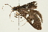  ( - 09BBLEP-02580)  @12 [ ] CreativeCommons - Attribution (2009) Unspecified Centre for Biodiversity Genomics