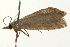  ( - 09BBLEP-02587)  @12 [ ] CreativeCommons - Attribution (2009) Unspecified Centre for Biodiversity Genomics