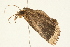  ( - 09BBLEP-02636)  @13 [ ] CreativeCommons - Attribution (2009) Unspecified Centre for Biodiversity Genomics