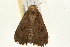  ( - 09BBLEP-02637)  @12 [ ] CreativeCommons - Attribution (2009) Unspecified Centre for Biodiversity Genomics