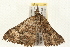  ( - 09BBLEP-02638)  @13 [ ] CreativeCommons - Attribution (2009) Unspecified Centre for Biodiversity Genomics