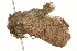  ( - 09BBLEP-02669)  @12 [ ] CreativeCommons - Attribution (2009) Unspecified Centre for Biodiversity Genomics