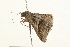  ( - 09BBLEP-02719)  @12 [ ] CreativeCommons - Attribution (2009) Unspecified Centre for Biodiversity Genomics