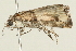  ( - 09BBLEP-02743)  @12 [ ] CreativeCommons - Attribution (2009) Unspecified Centre for Biodiversity Genomics