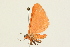  ( - 09BBLEP-02751)  @12 [ ] CreativeCommons - Attribution (2009) Unspecified Centre for Biodiversity Genomics