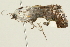  ( - 09BBLEP-02752)  @12 [ ] CreativeCommons - Attribution (2009) Unspecified Centre for Biodiversity Genomics
