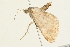  ( - 09BBLEP-02759)  @13 [ ] CreativeCommons - Attribution (2009) Unspecified Centre for Biodiversity Genomics