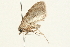  ( - 09BBLEP-02761)  @12 [ ] CreativeCommons - Attribution (2009) Unspecified Centre for Biodiversity Genomics