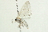  ( - 09BBLEP-02764)  @12 [ ] CreativeCommons - Attribution (2009) Unspecified Centre for Biodiversity Genomics