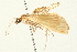  ( - 09BBLEP-02774)  @13 [ ] CreativeCommons - Attribution (2009) Unspecified Centre for Biodiversity Genomics
