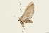  ( - 09BBLEP-02777)  @13 [ ] CreativeCommons - Attribution (2009) Unspecified Centre for Biodiversity Genomics