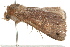  ( - 09BBLEP-02836)  @12 [ ] CreativeCommons - Attribution (2009) Unspecified Centre for Biodiversity Genomics