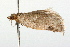  ( - 09BBLEP-02901)  @14 [ ] CreativeCommons - Attribution (2009) Unspecified Centre for Biodiversity Genomics